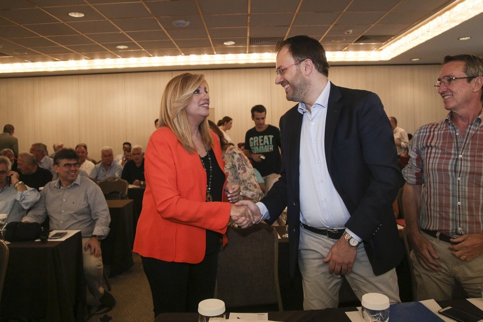 Ποιοι θα είναι υποψήφιοι για την ηγεσία της Δημοκρατικής Συμπαράταξης | iefimerida.gr 2