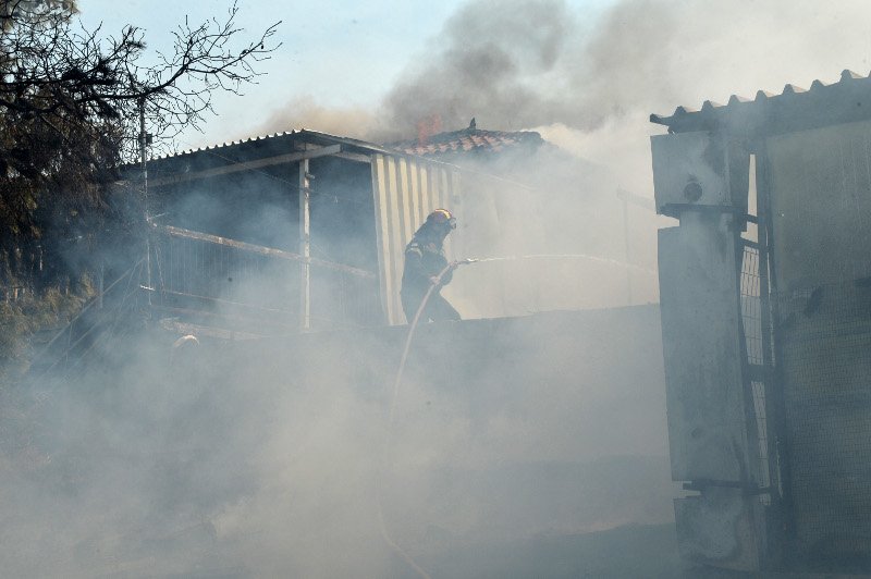 Ολονύχτια μάχη με την πυρκαγιά στη Λευκίμη Σουφλίου [εικόνες & βίντεο] | iefimerida.gr 3
