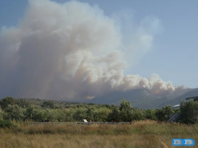 Αγωνία για τα πύρινα μέτωπα σε όλη τη χώρα -Καίγονται σπίτια στη Μάνη | iefimerida.gr 5