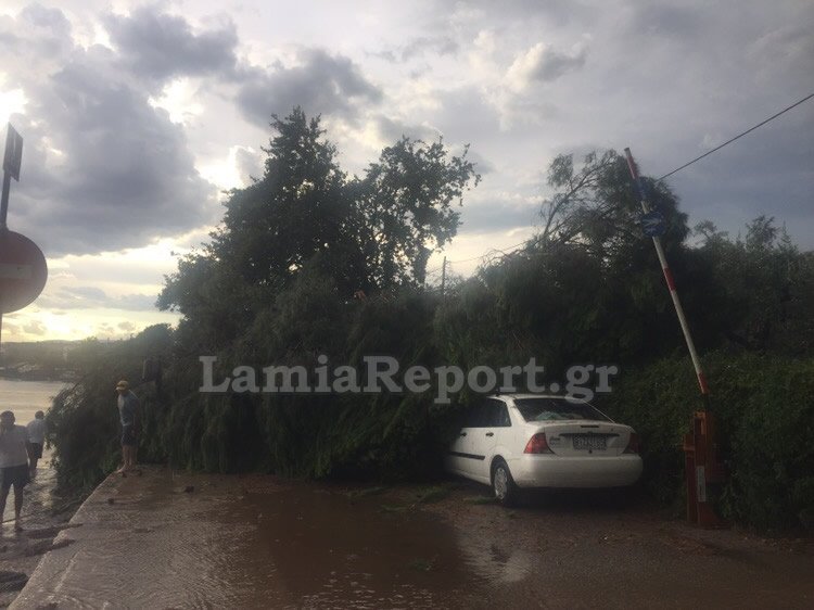 Καταστροφές από την κακοκαιρία σε Φθιώτιδα και Χίο -Χαλάζι και θυελλώδεις άνεμοι [εικόνες & βίντεο] | iefimerida.gr 1