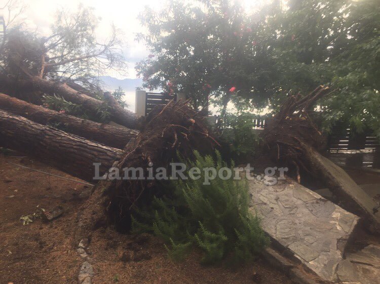 Καταστροφές από την κακοκαιρία σε Φθιώτιδα και Χίο -Χαλάζι και θυελλώδεις άνεμοι [εικόνες & βίντεο] | iefimerida.gr 2
