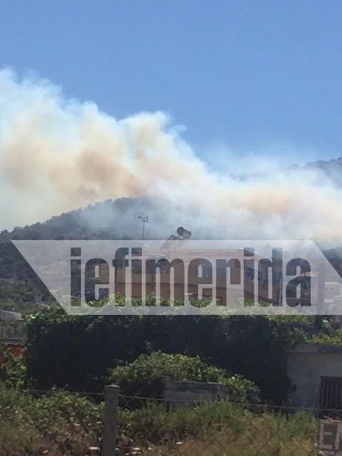 Πυρκαγιά στην Λούτσα δίπλα σε κατοικημένη περιοχή [εικόνες] | iefimerida.gr 2