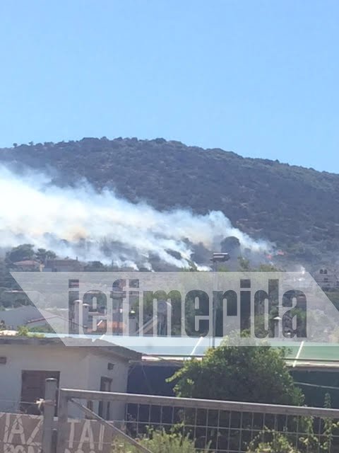 Πυρκαγιά στην Λούτσα δίπλα σε κατοικημένη περιοχή [εικόνες] | iefimerida.gr 0