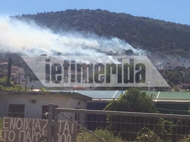 Πυρκαγιά στην Λούτσα δίπλα σε κατοικημένη περιοχή [εικόνες] | iefimerida.gr 3