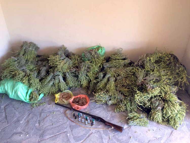 Ιωάννινα: Συμμορίες Aλβανών ξερίζωσαν 56 κιλά τσάι βουνού [εικόνα] | iefimerida.gr 0