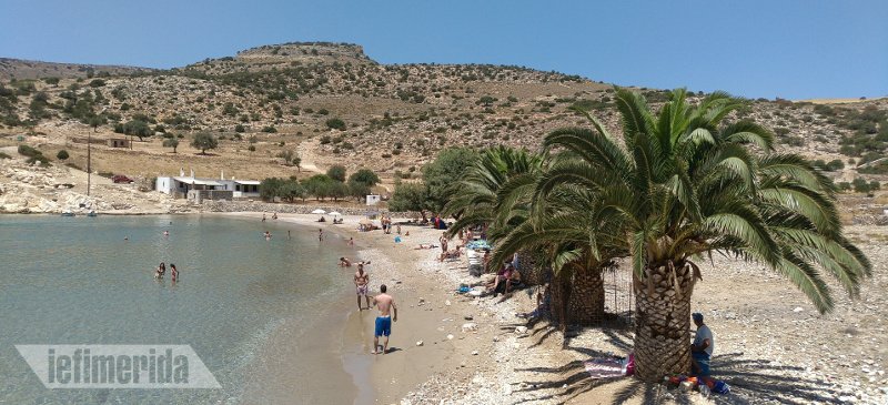 Η εξωτική πλευρά της Νάξου -Η παραλία με τους φοίνικες στην ακροθαλασσιά! [εικόνες] | iefimerida.gr 7