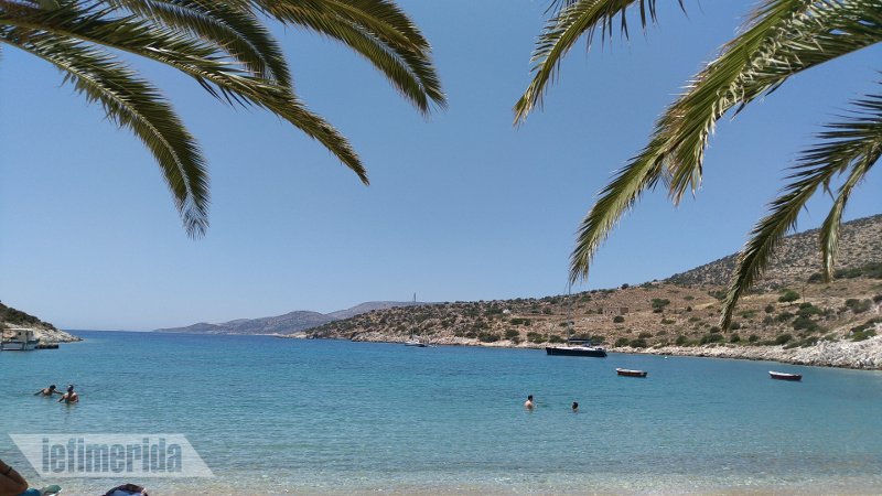 Η εξωτική πλευρά της Νάξου -Η παραλία με τους φοίνικες στην ακροθαλασσιά! [εικόνες] | iefimerida.gr 3