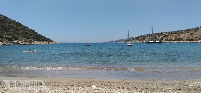 Η εξωτική πλευρά της Νάξου -Η παραλία με τους φοίνικες στην ακροθαλασσιά! [εικόνες] | iefimerida.gr 4