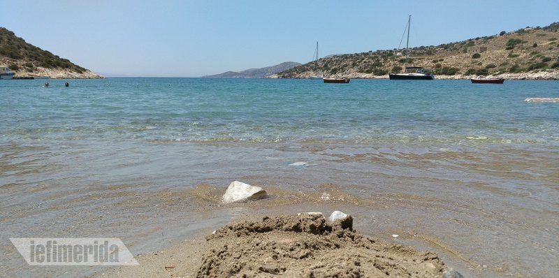 Η εξωτική πλευρά της Νάξου -Η παραλία με τους φοίνικες στην ακροθαλασσιά! [εικόνες] | iefimerida.gr 5