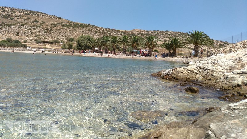 Η εξωτική πλευρά της Νάξου -Η παραλία με τους φοίνικες στην ακροθαλασσιά! [εικόνες] | iefimerida.gr 1