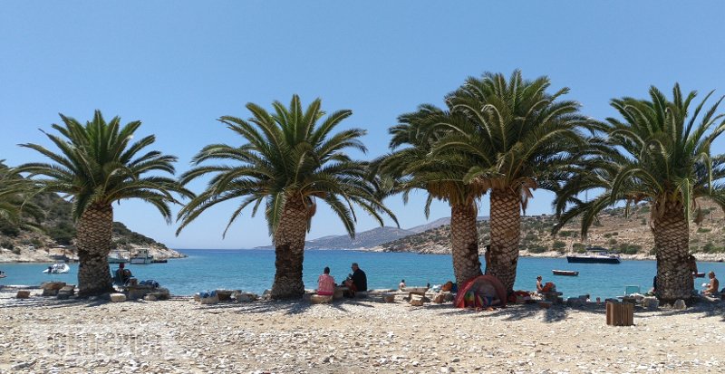 Η εξωτική πλευρά της Νάξου -Η παραλία με τους φοίνικες στην ακροθαλασσιά! [εικόνες] | iefimerida.gr 0