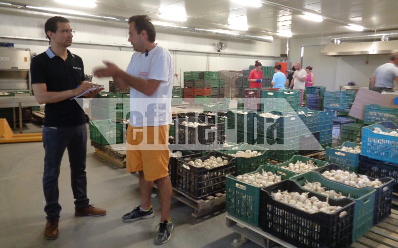 Το σκόρδο... αντίδοτο στην κρίση -Οδοιπορικό του iefimerida στο χωριό Νέα Βύσσα Εβρου [εικόνες] | iefimerida.gr 7