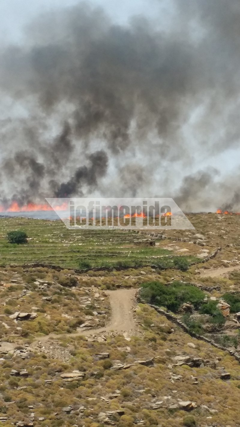 Φωτιά στην Τήνο δίπλα σε σπίτια και εκκλησίες [εικόνες] | iefimerida.gr 0