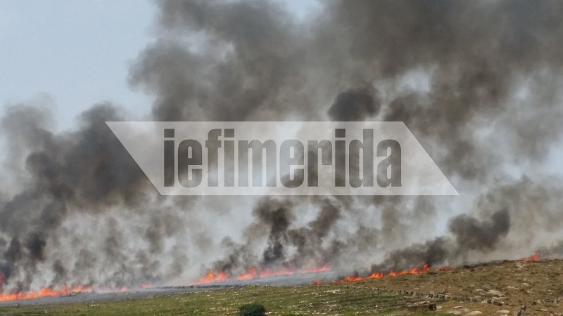 Φωτιά στην Τήνο δίπλα σε σπίτια και εκκλησίες [εικόνες] | iefimerida.gr 4