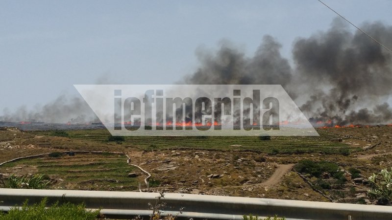 Φωτιά στην Τήνο δίπλα σε σπίτια και εκκλησίες [εικόνες] | iefimerida.gr 2