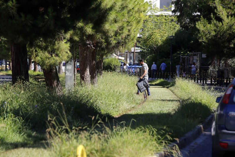 Οι γραμμές του Τραμ στη Γλυφάδα έγιναν... ζούγκλα -Ο δήμος ζητάει άδεια να καθαρίσει και δεν του δίνουν [εικόνες]  | iefimerida.gr 0