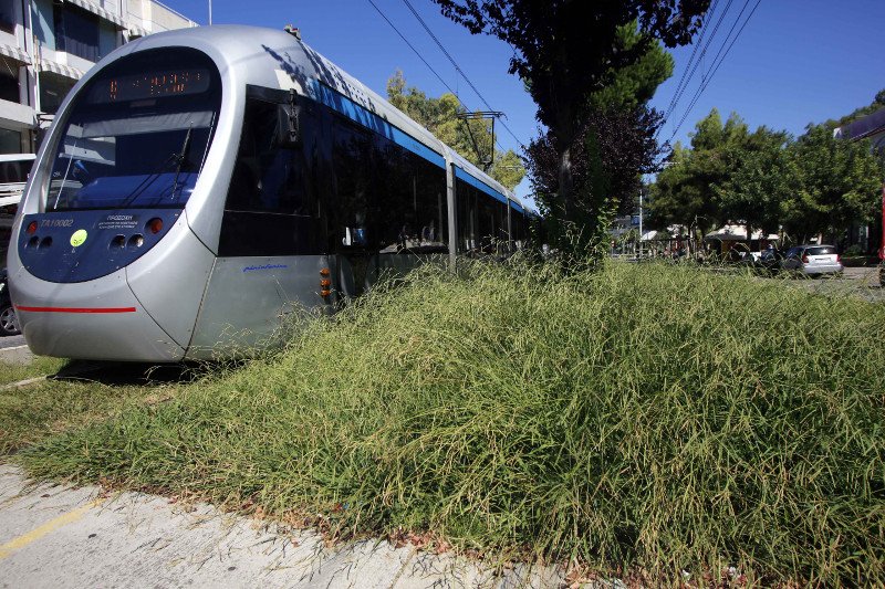 Οι γραμμές του Τραμ στη Γλυφάδα έγιναν... ζούγκλα -Ο δήμος ζητάει άδεια να καθαρίσει και δεν του δίνουν [εικόνες]  | iefimerida.gr 2