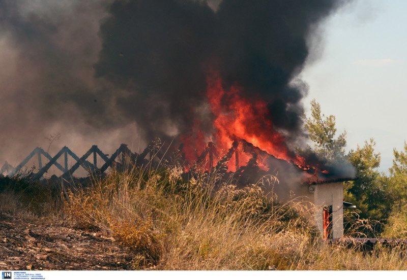 Ολονύχτια μάχη με την πυρκαγιά στη Λευκίμη Σουφλίου [εικόνες & βίντεο] | iefimerida.gr 2