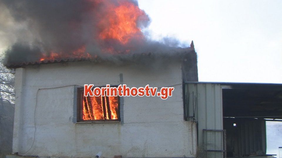 Υπό μερικό έλεγχο η πύρινη κόλαση στην Κορινθία -Κάηκαν σπίτια, 3 πυροσβέστες τραυματίες [εικόνες & βίντεο] | iefimerida.gr 5