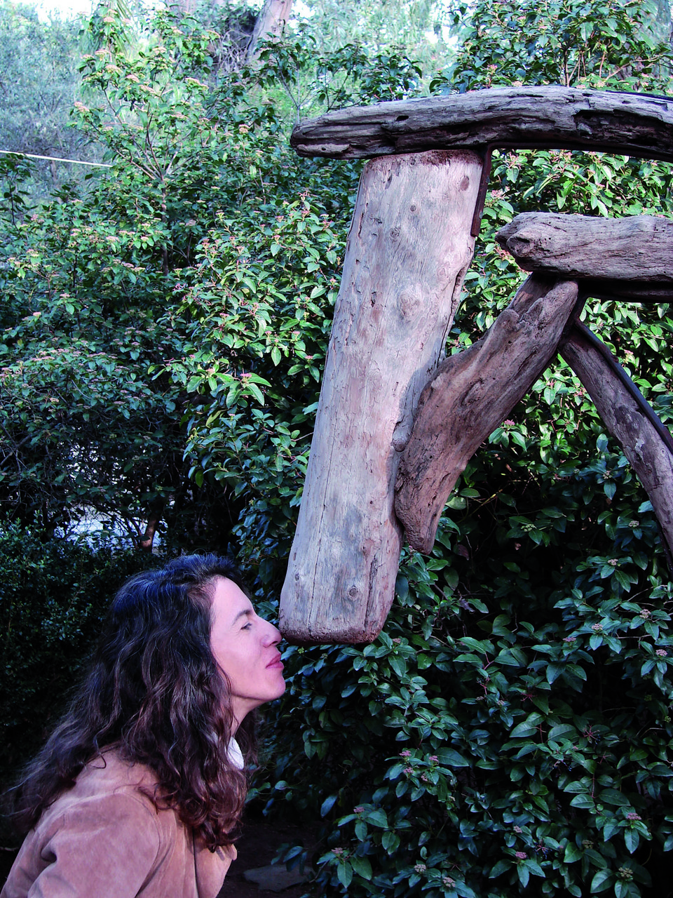 Αλογα και θώρακες από αλλοιωμένα ξύλα, σίδερα και φθαρμένα χαρτιά στη γκαλερί Citronne στον Πόρο [εικόνες]  | iefimerida.gr 5