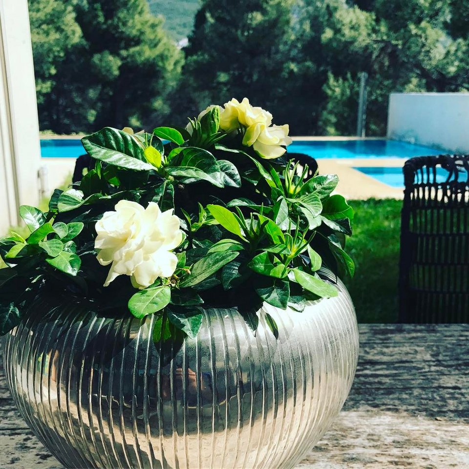 Η πολυτελής βίλα με τις δύο πισίνες, του Μένιου Φουρθιώτη, στην Εκάλη [εικόνες] | iefimerida.gr 8