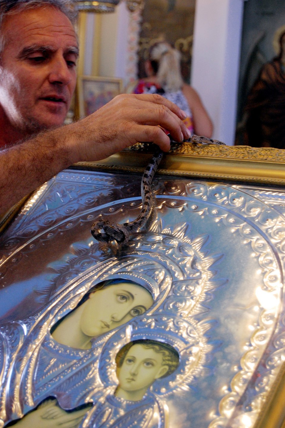 Τα φιδάκια της Παναγίας στην Κεφαλονιά με τον σταυρό στο κεφάλι: Προστάτευαν τις μοναχές από τους πειρατές [εικόνες]  | iefimerida.gr 0