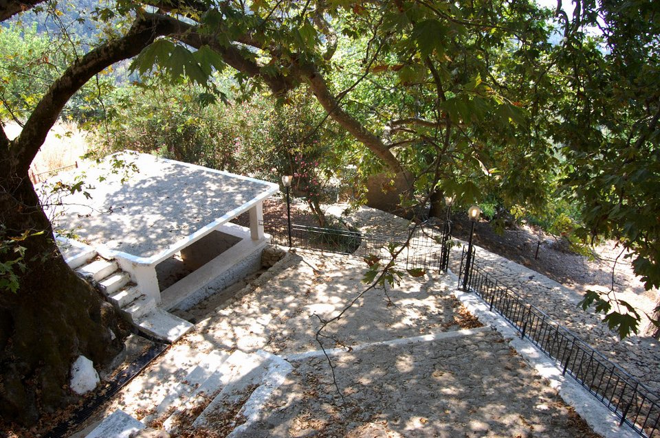 Τα φιδάκια της Παναγίας στην Κεφαλονιά με τον σταυρό στο κεφάλι: Προστάτευαν τις μοναχές από τους πειρατές [εικόνες]  | iefimerida.gr 1