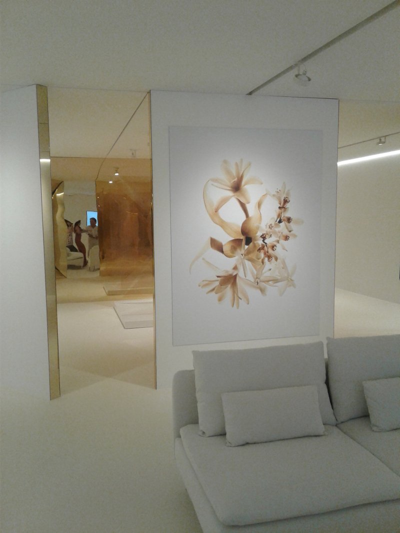 Η λάμψη της Chanel στο Σούνιο -Το νέο άρωμα Gabrielle μέθυσε την Αθηναϊκή Ριβιέρα [εικόνες] | iefimerida.gr 7