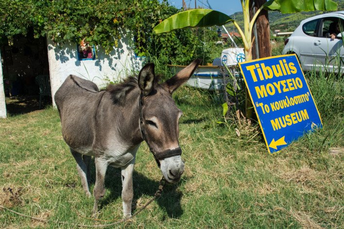 Γερμανοί έφτιαξαν στην Ηλεία ένα μουσείο-κουκλόσπιτο με θησαυρούς από τα σκουπίδια [εικόνες]  | iefimerida.gr 4