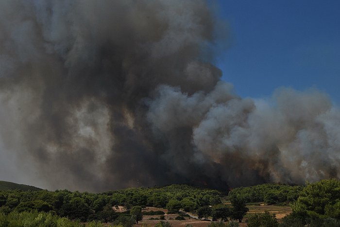 Νύχτα-κόλαση στη Ζάκυνθο: Η φωτιά κύκλωσε τις Μαριές | iefimerida.gr 6
