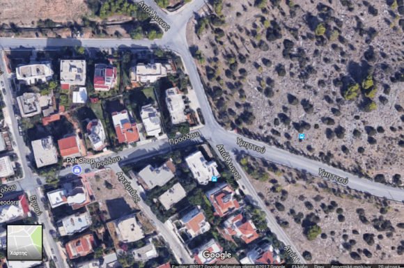 Απίστευτο: Μια αλεπού περιμένει σε στάση λεωφορείου στη Βούλα! [εικόνες] | iefimerida.gr 2