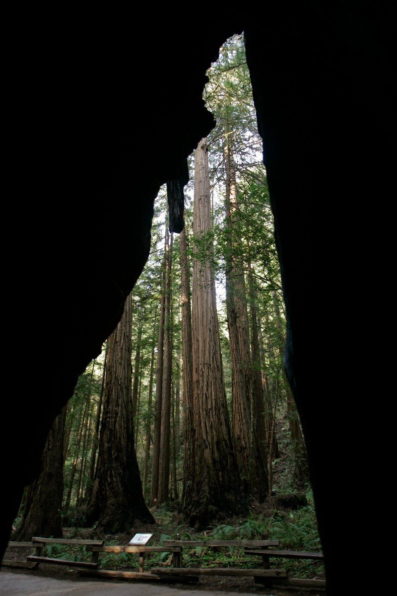 «Οχι» στις γυναίκες -5 μέρη του κόσμου που απαγορεύονται να επισκεφθούν [εικόνες] | iefimerida.gr 2