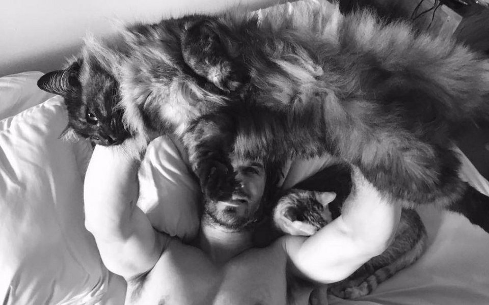 8 Αυγούστου, Παγκόσμια Ημέρα Γάτας -Ωραία ζωή για τα κατοικίδια των επωνύμων [εικόνες] | iefimerida.gr 1