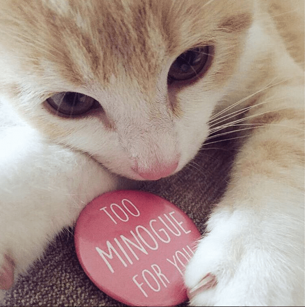 8 Αυγούστου, Παγκόσμια Ημέρα Γάτας -Ωραία ζωή για τα κατοικίδια των επωνύμων [εικόνες] | iefimerida.gr 7