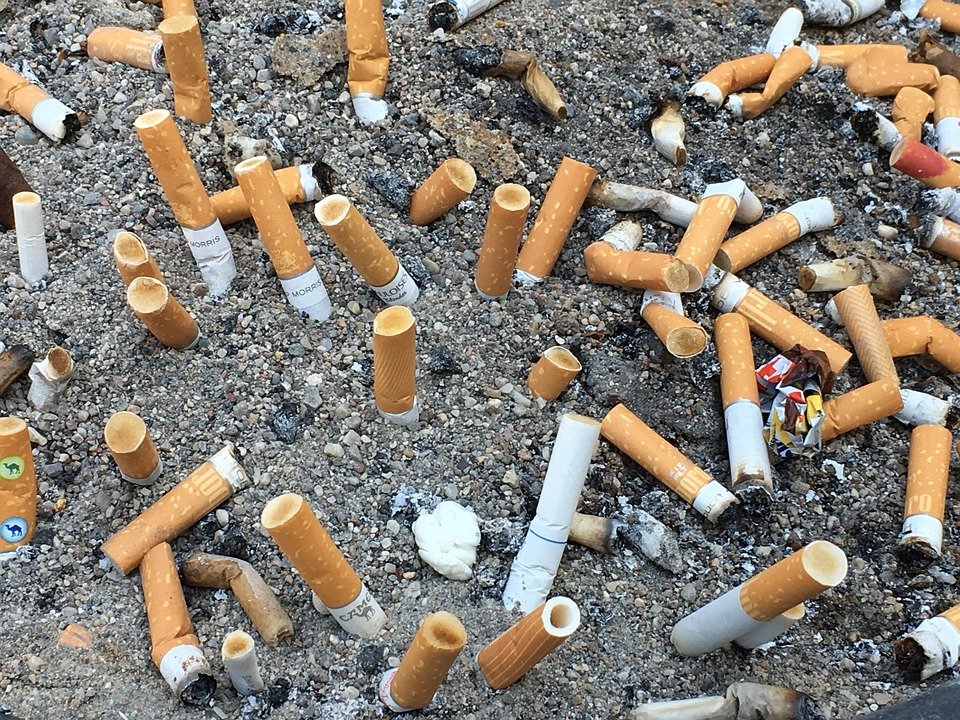 Πετάμε 22 δισ. γόπες τσιγάρων το χρόνο -Δηλητήριο για θάλασσες, ψάρια και πουλιά | iefimerida.gr 0