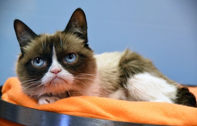 Οι viral φωτογραφίες που έκαναν πάταγο στα social media -Η Κιμ, ο Τούρκος σεφ και το Οσκαρ του Ντι Κάπριο [εικόνες] | iefimerida.gr 4