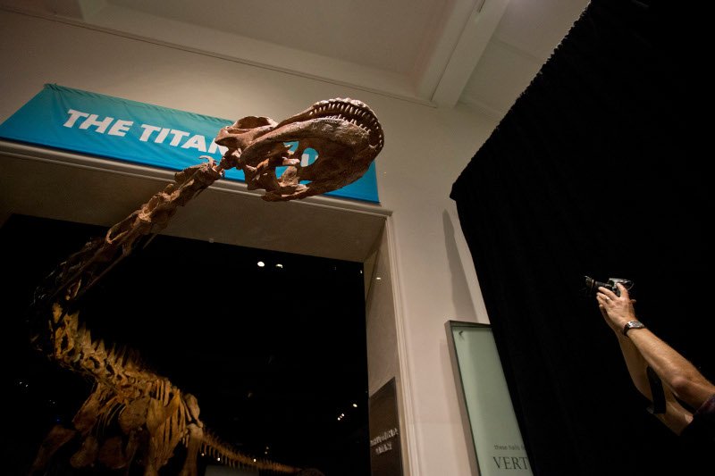 Ο δεινόσαυρος Παταγοτιτάν είναι το μεγαλύτερο ζώο που υπήρξε στη Γη [εικόνες & βίντεο] | iefimerida.gr 3