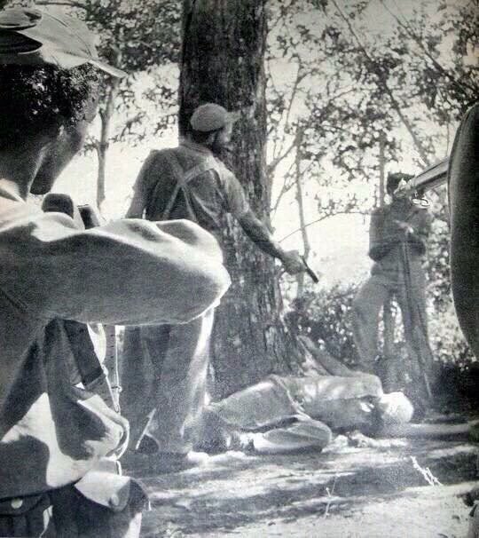 Εκαναν εγκλήματα οι κομμουνιστές; Το Twitter βγάζει τα ντοκουμέντα [εικόνες] | iefimerida.gr 13