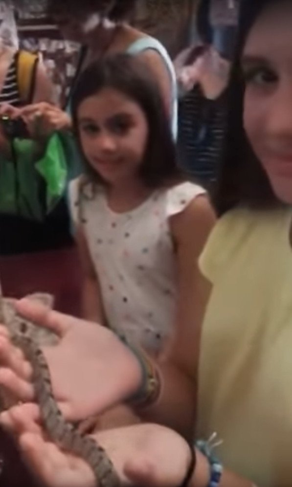 Κεφαλονιά: Εμφανίστηκαν και φέτος τα φιδάκια της Παναγίας [εικόνες&βίντεο] | iefimerida.gr 0