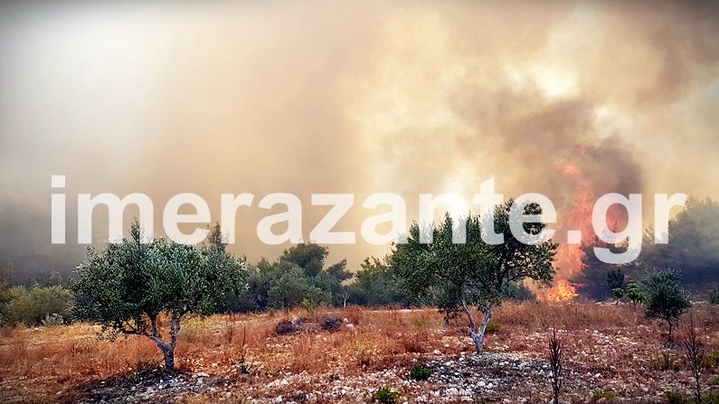 Ζάκυνθος: Ανεξέλεγκτη η φωτιά, πλησιάζει στις Μαριές -Κάηκαν σπίτια στην Αναφωνήτρια [εικόνες&βίντεο] | iefimerida.gr 5