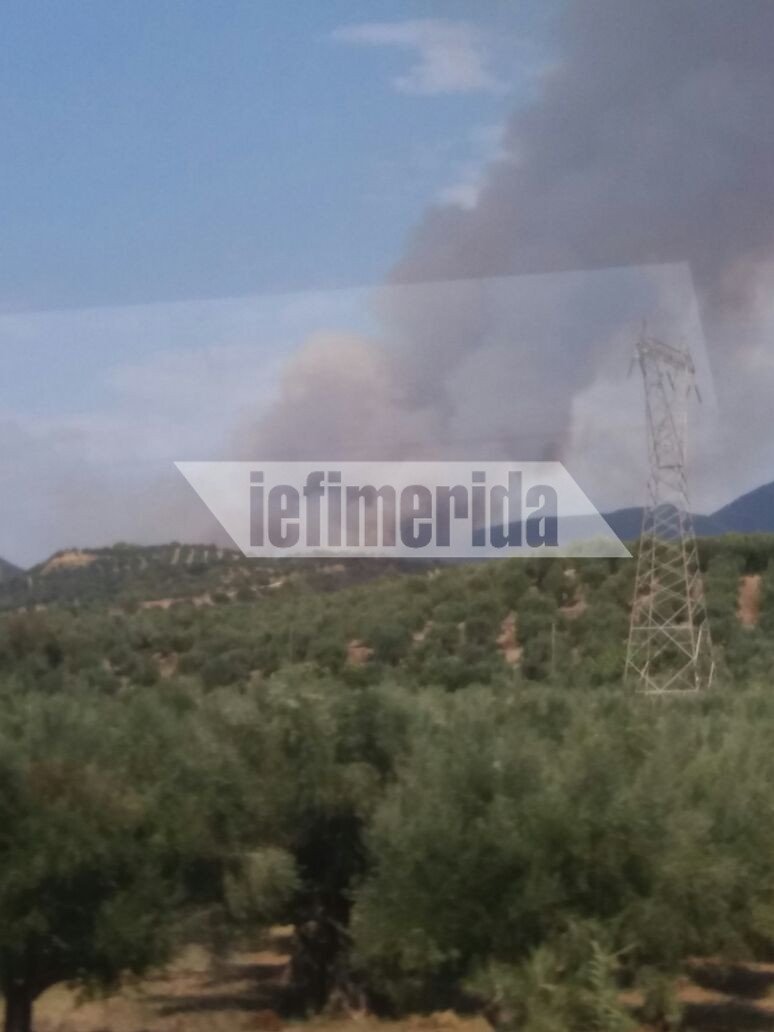 Ηλεία: Μεγάλη φωτιά στα Ροδινά Ζαχάρως | iefimerida.gr 0