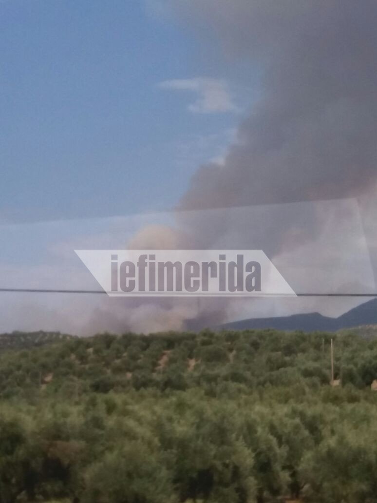 Ηλεία: Μεγάλη φωτιά στα Ροδινά Ζαχάρως | iefimerida.gr 2