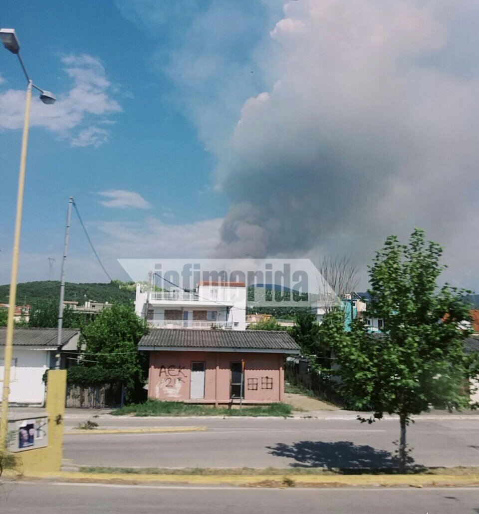 Ηλεία: Μεγάλη φωτιά στα Ροδινά Ζαχάρως | iefimerida.gr 3