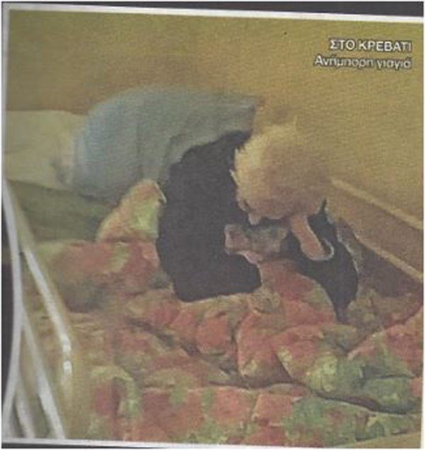 Εικόνες-σοκ από το Γηροκομείο Αθηνών -Ηλικιωμένοι δεμένοι στο κρεβάτι, σκουπίδια και γάτες παντού [εικόνες] | iefimerida.gr 0