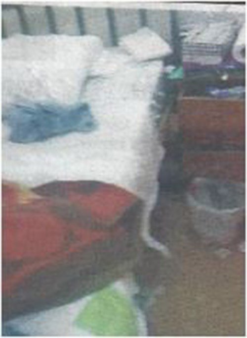 Εικόνες-σοκ από το Γηροκομείο Αθηνών -Ηλικιωμένοι δεμένοι στο κρεβάτι, σκουπίδια και γάτες παντού [εικόνες] | iefimerida.gr 1