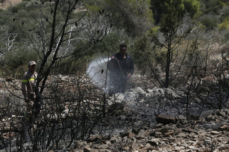 Σε ύφεση η φωτιά στη Βύλιζα Κορωπίου [εικόνες] | iefimerida.gr 1