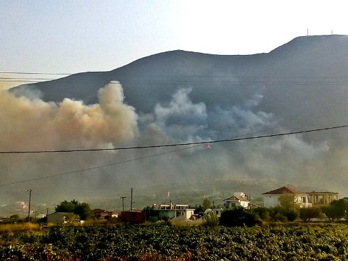 Aνεξέλεγκτη η φωτιά στη Ζάκυνθο -Πλησιάζει κατοικημένα χωριά [εικόνες & βίντεο] | iefimerida.gr 4