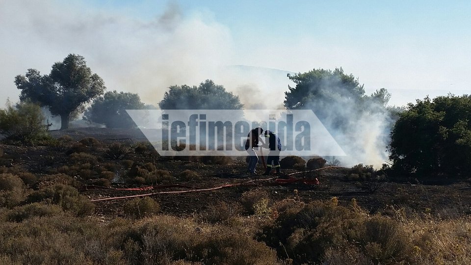 Μάχη με τις φλόγες στα Καλύβια -Canadair & ελικόπτερα περιόρισαν τη φωτιά | iefimerida.gr 6