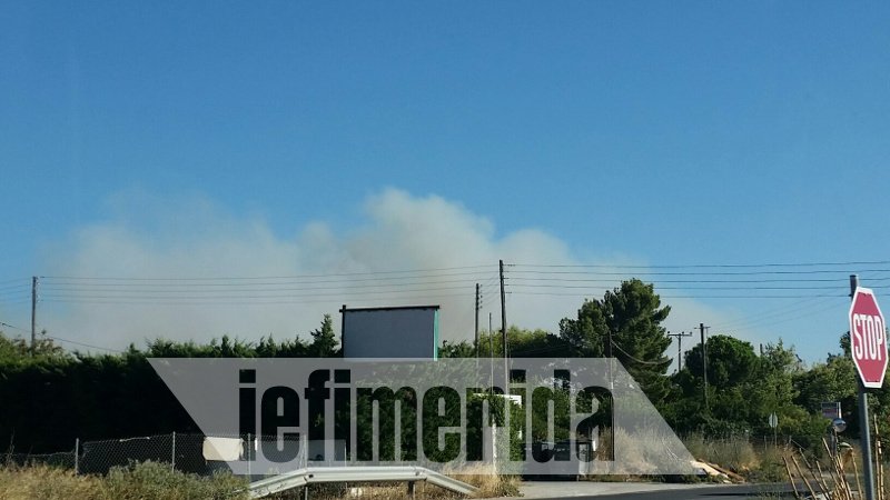 Μάχη με τις φλόγες στα Καλύβια -Canadair & ελικόπτερα περιόρισαν τη φωτιά | iefimerida.gr 7