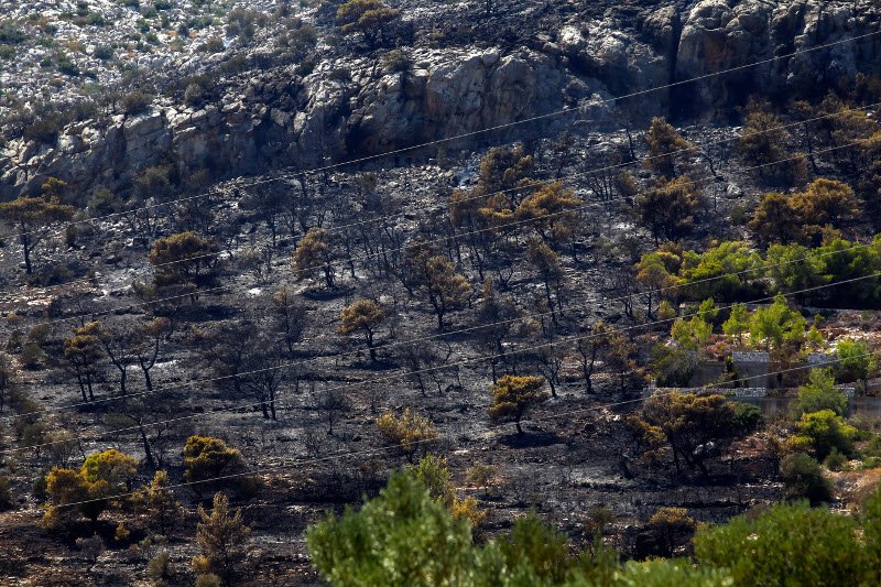 Σε ύφεση η φωτιά στη Βύλιζα Κορωπίου [εικόνες] | iefimerida.gr 0